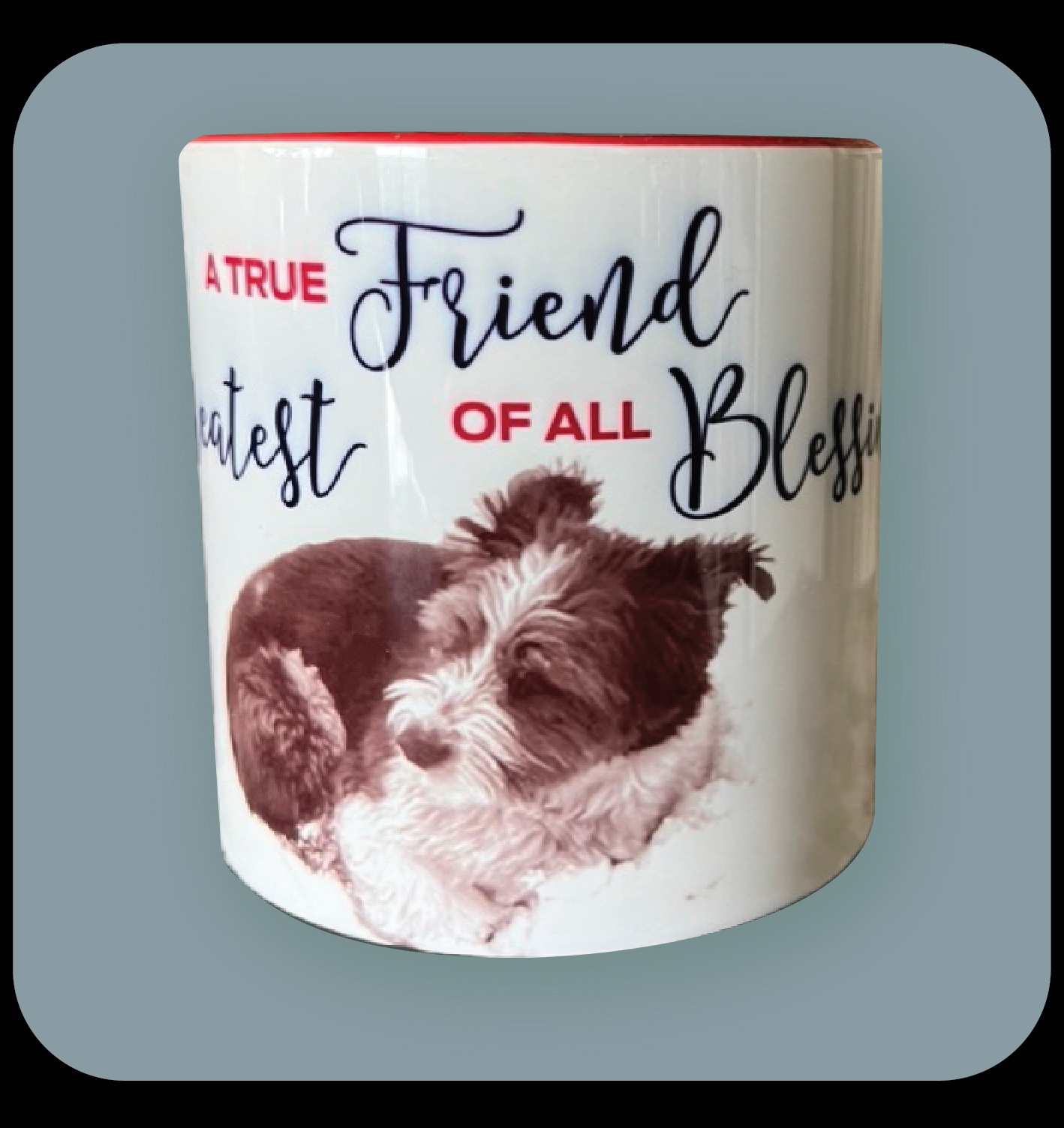 A True Friend is the Greatest of all Blessings image 0