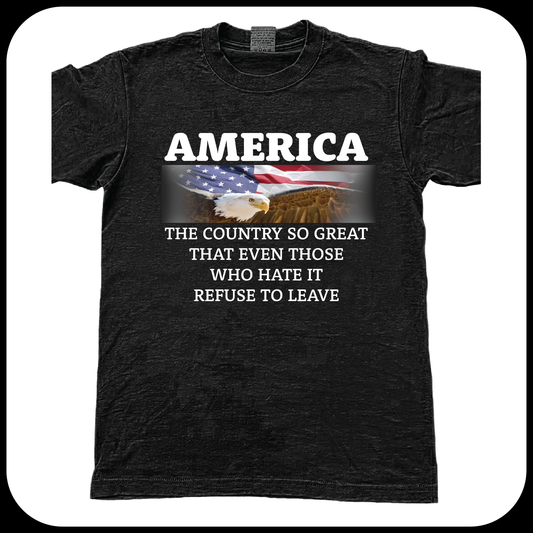 America the great image 1