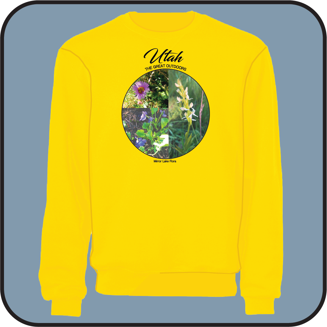 Mirror Lake Flora sweatshirt image 0