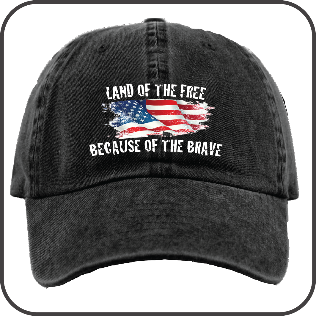 Land of the Free because of the Brave image 0