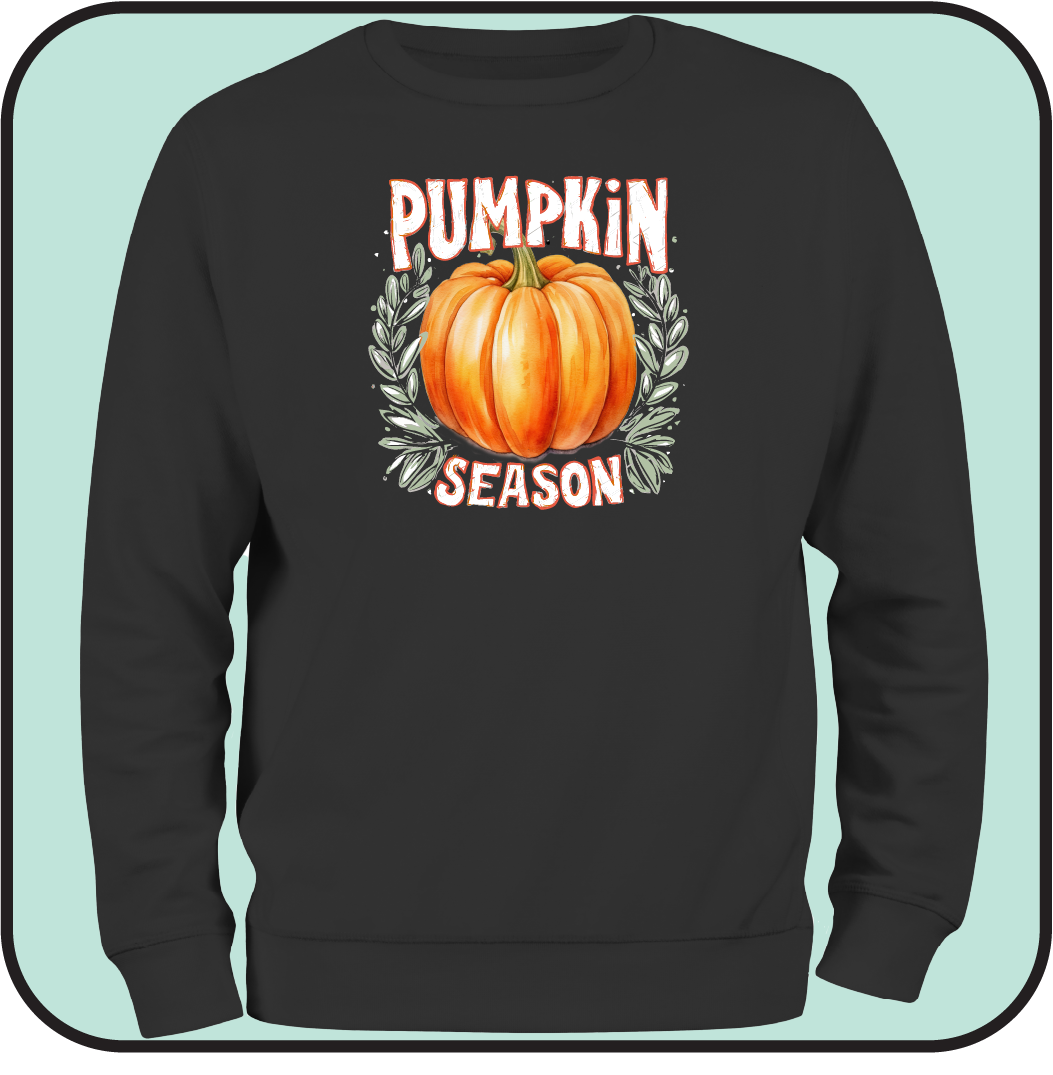 Pumpkin sweatshirt