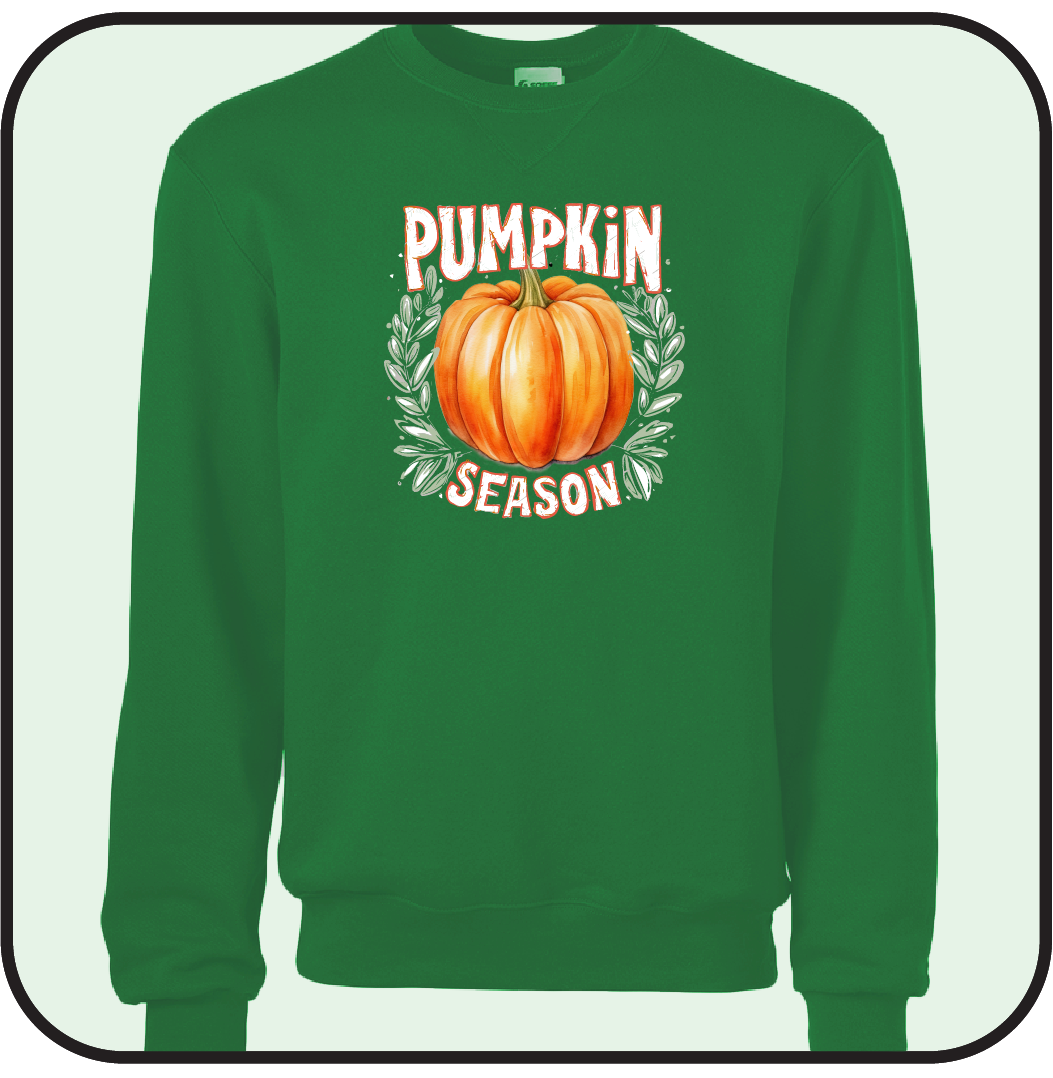 Pumpkin sweatshirt
