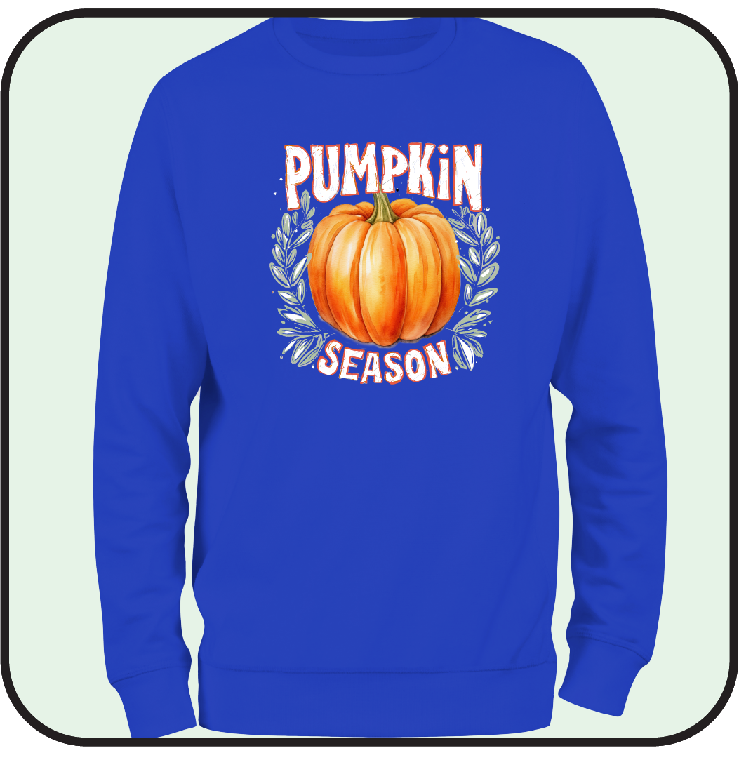 Pumpkin sweatshirt