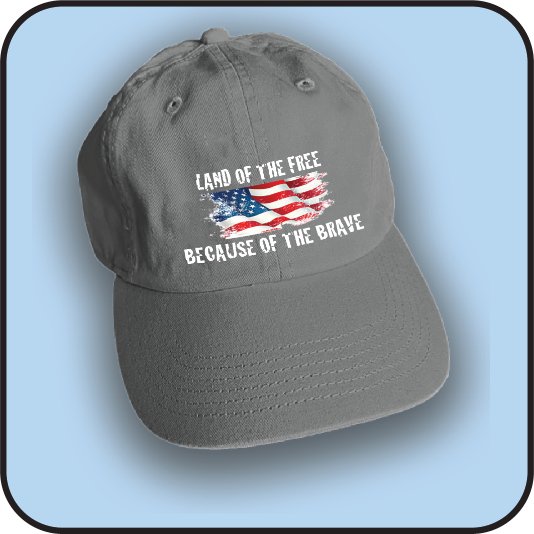 Land of the Free because of the Brave image 1