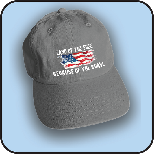 Land of the Free because of the Brave image 1