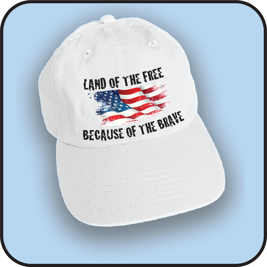 Land of the Free because of the Brave image 2