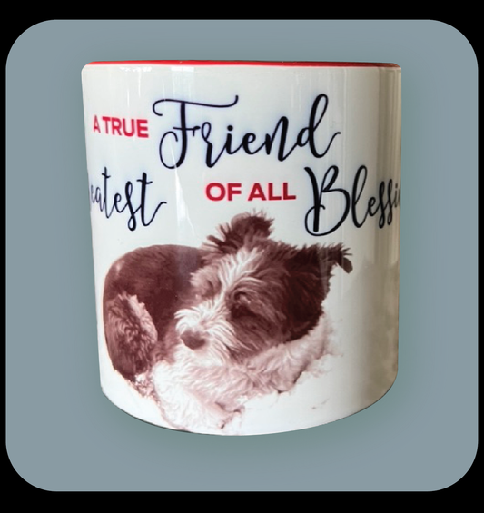 A True Friend is the Greatest of all Blessings image 0