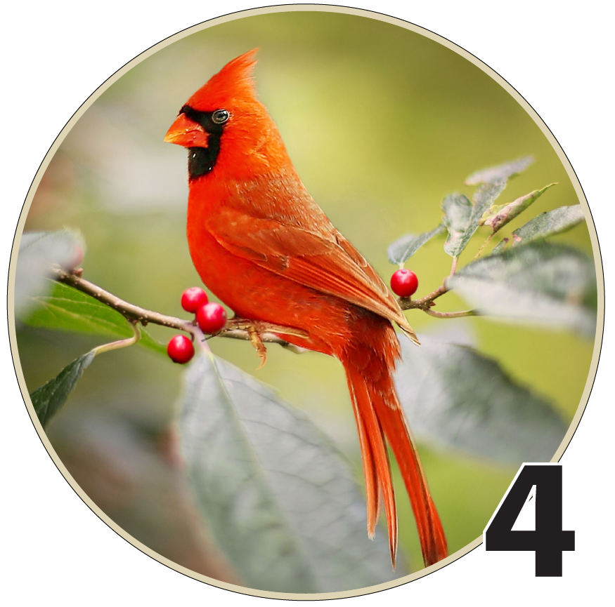 3" Christmas Ornaments (Group 2B) 6 pieces